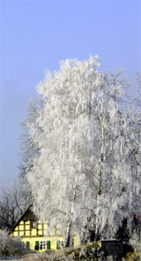 Winterlandschaft