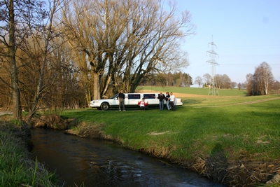 Original image